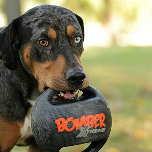 Zeus Xtreme Bomber Dog Toy, Large - PawsPlanet Australia