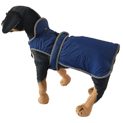 RC GearPro Reversible Stormguard Design Winter Dog Vest Reflective Waterproof Windproof Pet Coat Cold Weather Warm Puppy Jacket (XL, Blue) XL - PawsPlanet Australia