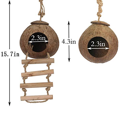 Hamiledyi Gecko Coco Den 2 pcs, Natural Reptile Hideouts Mini Condo for Lizards, Coconut Texture Provide Food for Pets, Raw Coconut Husk Hide with Ladder, Durable Cave Habitat with Hanging Loop - PawsPlanet Australia