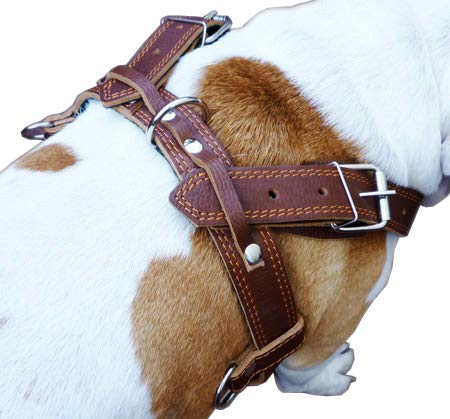 [Australia] - Genuine Brown Leather Dog Pulling Walking Harness XLarge. 33"-37" Chest 1.5" Wide Straps, Padded 