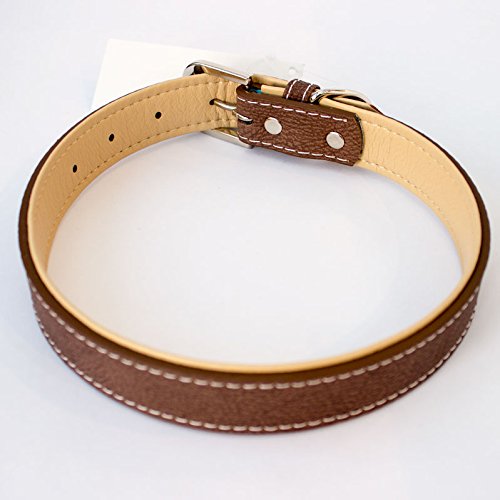 NEW Golden Retriever - Brown Dog Collar - Large & X-Large Size - (Large 40cm - 50cm / 15.7-19.7 inches) Large 40cm - 50cm / 15.7 - 19.7 inches - PawsPlanet Australia