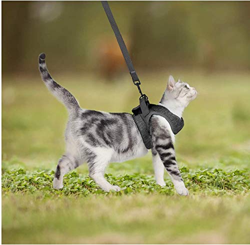 Cat Harness and Walking Jacket Leash Leash Set Pet Vest Harness Breathable Mesh Cat Leash For Pet Puppy Kitten Indoor Outdoor Walking (Black M) Black M - PawsPlanet Australia