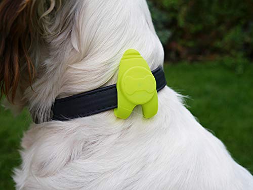 Rosewood Silicon Light Collar, Small - PawsPlanet Australia