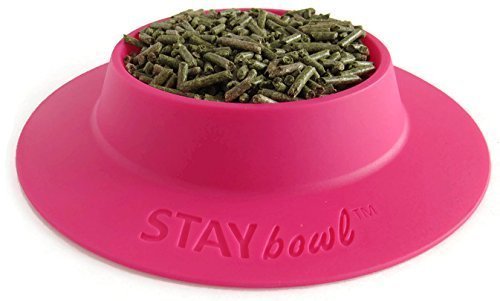 STAYbowl Tip-Proof Bowl for Guinea Pigs and Other Small Pets - Fuchsia (Pink) - Large 3/4 Cup Size New - PawsPlanet Australia