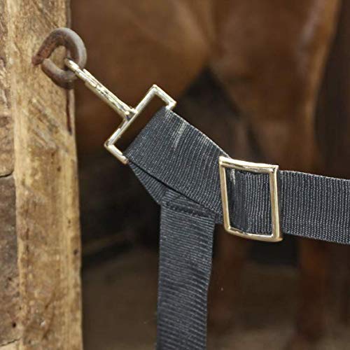 Dura-Tech Cordura Horse Stall Guard | Great for Use at Shows | Double Vinyl Coated Polyester Center | 2" Nylon Web Straps | Adjusts from 36" - 48" | Fits Most Stall Openings Black - PawsPlanet Australia