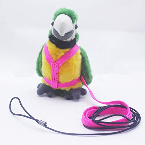 Adjustable Feather Tether Bird Harness and Leash for Parrot African Grey Cockatoo Macaw Training Outdoor Walk Rope (XS (black)) XS (black) - PawsPlanet Australia