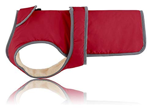 Reflective Waterproof Windproof Dog Coat Cold Weather Warm Dog Jacket Reversible Stormguard Design Winter Dog Vest for Small Medium Large Dogs - Red - XL - PawsPlanet Australia