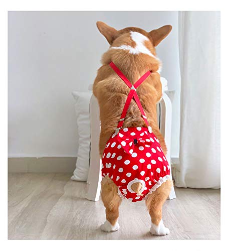 BT Bear Reusable Dog Nappies, Female Dog Nappies Pants Materials Durable Machine Washable Simple Solution For Pet Incontinence & Long Travels M: for waist 38cm～47cm Red Point - PawsPlanet Australia