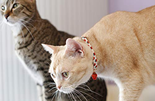 PetSoKoo Cat Collar With Bell and Strawberry Charm.100% Cotton Fabric.Safety Breakaway Buckle.Durable & Light Weight. Medium (8-12 inch,20-31cm) Sky Blue - PawsPlanet Australia