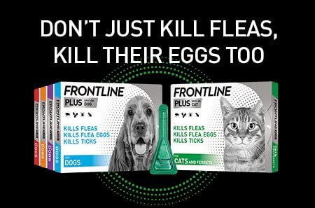 Frontline Spot On For Cats (Plus-For Cats) - PawsPlanet Australia