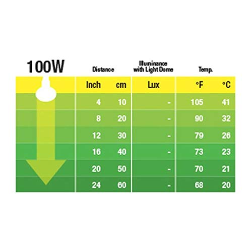 Exo Terra Night Heat Lamp, 100 W - PawsPlanet Australia