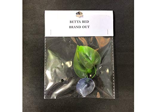 Cousduobe Betta Fish Leaf Pad - Improves Betta's Health by Simulating The Natural Habitat（ Double Leaf Design, one Big and one Small ） 1 Pack Betta Fish Leaf - PawsPlanet Australia