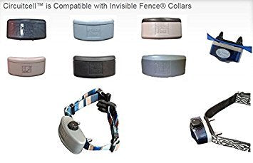 Circuitcell, Invisible Fence Brand Collar Compatible, Rechargeable Batteries and Charging Base Single Battery (No Charger) - PawsPlanet Australia