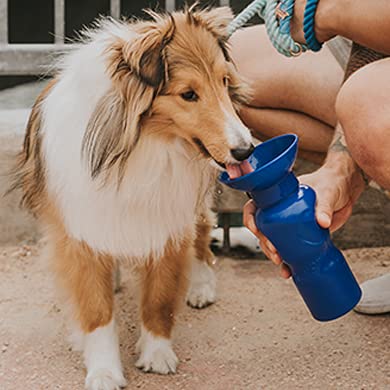 Springer Classic Travel Dog Water Bottle – 22 oz Portable Water Bottle for Dogs with Patented Leak-Proof Design for Dog Walking, Hiking and Traveling, BPA-Free Materials Indigo - PawsPlanet Australia