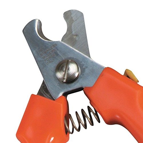 [Australia] - MF Large Dog Nail Clippers Orange Handled Precision Professional Grade Claw Care 