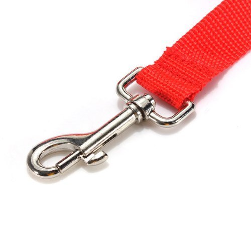 [Australia] - Pet Puppy Training Obedience Lead Leash (6Feet, red) 6Feet 