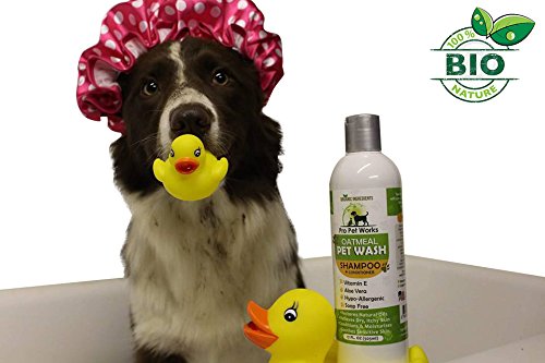 [Australia] - Pro Pet Works All Natural Organic Oatmeal Pet Shampoo Plus Conditioner - Hypoallergenic and Soap Free Blend with Almond Oil for Allergies & Sensitive Skin- 17oz 