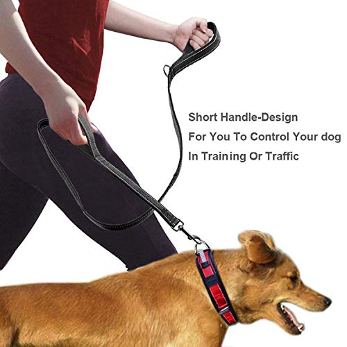 [Australia] - Pet Gear Dog Leash, Traffic Control Safety Training Dog Rope, Walking Heavy Duty Reflective Leashes with Two Handles for Big Medium Small Dogs blakc 
