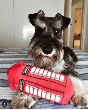 PetLondon British Red Telephone Box Plush Dog and Puppy Toy 6" With Squeaker, Cute Fun London Landmark Telebone UK Dog Interactive Toy - PawsPlanet Australia