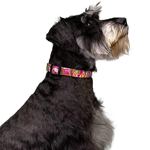 [Australia] - Country Brook Design - Deluxe Dog Collar - Paisley Collection Large, 1 Inch Wide Pink Paisley 