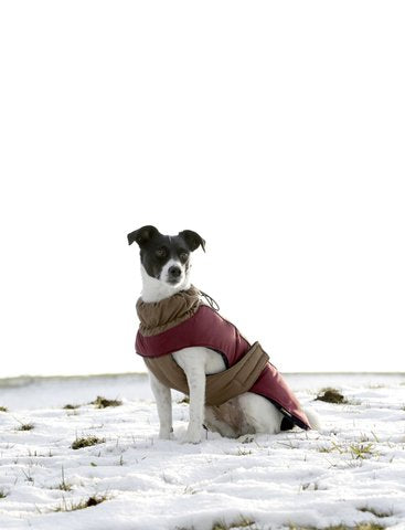 Kerbl Royal Pets Dog Coat, 35 cm - PawsPlanet Australia