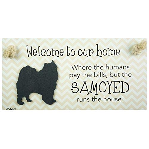 PRECIOUS PETS DOG PLAQUE AND DOG LEAD HOOK PACK, SAMOYED, FUNNY SIGNS, DOG MUM GIFTS, DOG ACCESSORIES, HOUSE STUFF - PawsPlanet Australia