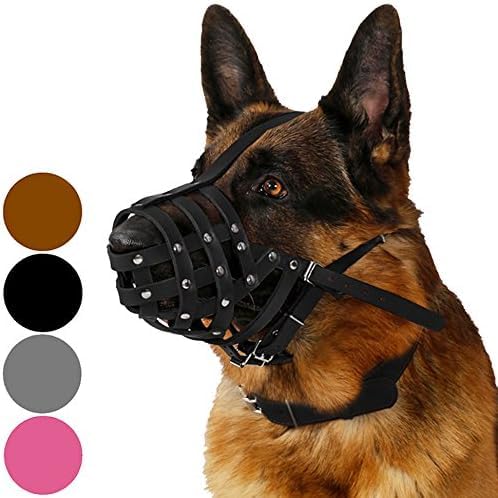 CollarDirect Dog Muzzle German Shepherd Dalmatian Doberman Setter Leather Basket Medium Large Breeds Black Brown (L, Black) Large (Pack of 1) - PawsPlanet Australia