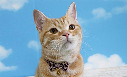 [Australia] - PetSoKoo Bowtie Cat Collar with Bell. Japan Tortoiseshell Figure Style. Original Design. Comfortable Durable Lightweight. Safety Quick Breakaway Standard (6-13 inch,16-32cm) Orange Yellow 
