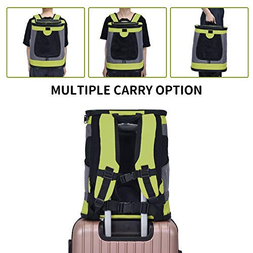 HAPPY HACHI Dog Carrier Backpack Waterproof Puppy Cat Rucksack Pet Soft Sided Padded Travel Bag Airline Approved with Top Open Breathable Mesh and Waist Strap (Green) Green - PawsPlanet Australia