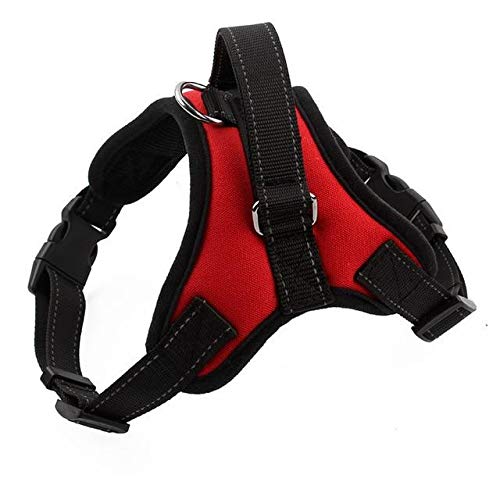 Ziggles No Pull Dog Harness, Breathable Adjustable Comfort for Small Medium Large Dog, Best for Training Walking (S) S - PawsPlanet Australia