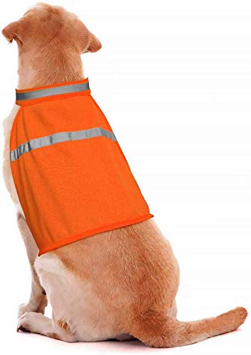 Reflective Dog Vest with Lightweight Adjustable Strap Comfortable Material Ideal to Keep Dogs Safe While Walking Hunting (M, Orange) M - PawsPlanet Australia