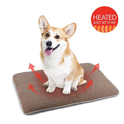 [Australia] - ALL FOR PAWS Top Body Heat Conducting Pet Bed - Comfy Memory Foam Cushion - Doubles as Crate Mat Pets from Large Breed Dogs to a Litter of Kittens or Cat - 29” x 19” x 2” Cream 