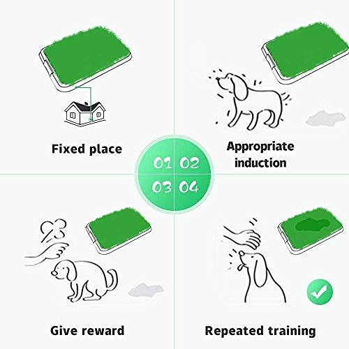 St@llion Indoor Potty Training Tray For Puppy Toilet Dog Grass Training Pad Restroom Training Mat Removable Waste Tray Potty Training with Tray - PawsPlanet Australia