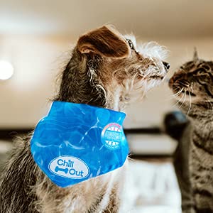 ALL FOR PAWS Chill Out Dog Ice Bandana, Instant Cooling Pet Bandana, Breathable Scarf Dog Cat Ice Collar for Summer, Blue (Small) Small - PawsPlanet Australia