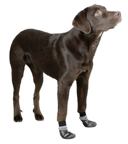 Kerbl Dog Susi Socks, Small - PawsPlanet Australia