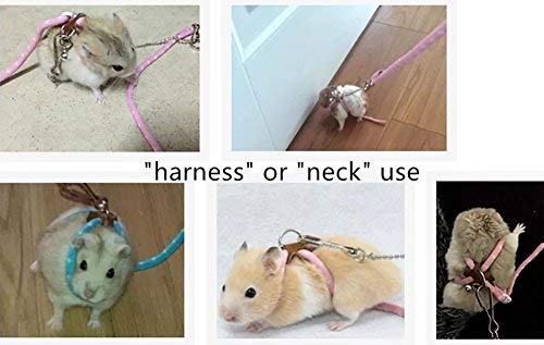 Hypeety Rat Hamster Training Lead Leash Soft Nylon & Rope for Hamster Rat Squirrel Gerbil Guinea Pigs Mouse Pet Cage Playhouse Leashes Band Finder Collar Bell Nylon Blue - PawsPlanet Australia