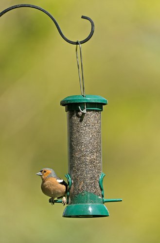 RSPB Premium Hanging Nyjer Seed Feeder, Easy Clean, Aluminium, 9-inch, bird seed niger feeder. supporting RSPB charity. Wild bird, for use in gardens & outdoors pouches 9 inch - PawsPlanet Australia