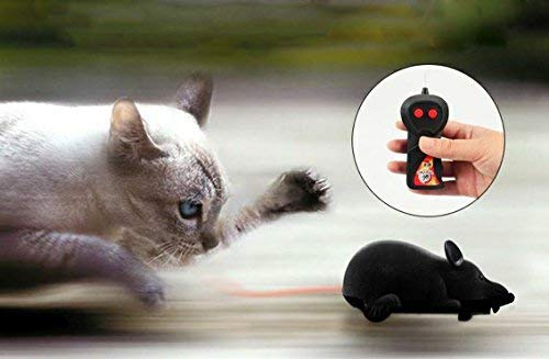 Digital baby Novelty Funny RC Wireless Remote Control Rat Mouse Toy for Cat Dog Pet Black,Gray,Brown (Black) - PawsPlanet Australia