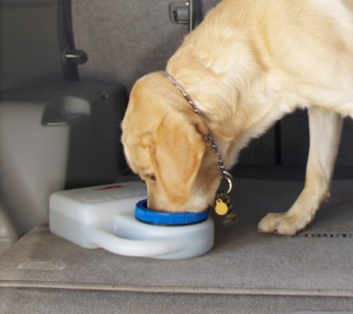 [Australia] - Heininger PortablePET 3059 Waterboy Travel Water Bowl for Pets (Clear) 