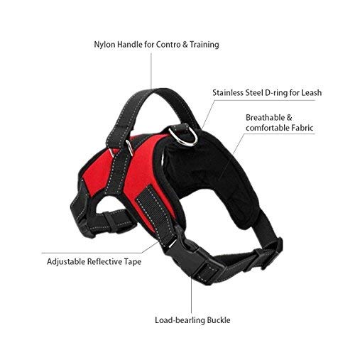 Pet Dog Harness No Pull Adjustable Pet Walking Harness Dog Body Vest Comfort Control for Dogs in Walking Training-Red-M-Chest 52-62cm Neck 49-56cm M - PawsPlanet Australia