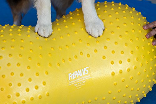 FitPAWS traxpeanut Collar Accessory for Dogs 40 cm 40cm - PawsPlanet Australia