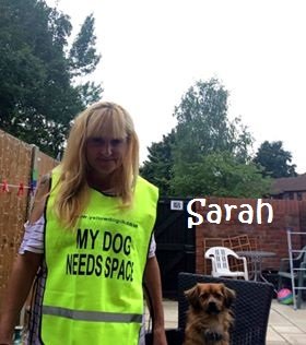 Yellow Dog UK Tabard with reflective strip - My Dog Needs Space - PawsPlanet Australia