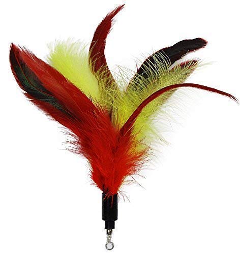 Cat Toys - Cat Feather Toys - Include Cat Wand, Natural Feather Refills Color A (5 pieces) - PawsPlanet Australia