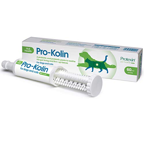 Pro-Kolin for Dogs and Cats Probiotic Paste and Syringe, 60ml & Pro-Balance Probiotic for Dogs and Cats – Daily Chewable Probiotic and Prebiotic Tablet for Digestive Health Support – Pack of 30 - PawsPlanet Australia
