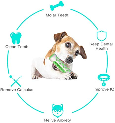 WEUE Dog Toothbrush Puppy Dental Sticks Chew Dog Toy Bones for Small Medium Puppy Dental Care Nontoxic Natural Rubber Bite Resistant With Bonus Dog Whistle and Dog Clicker for Dog Training - PawsPlanet Australia