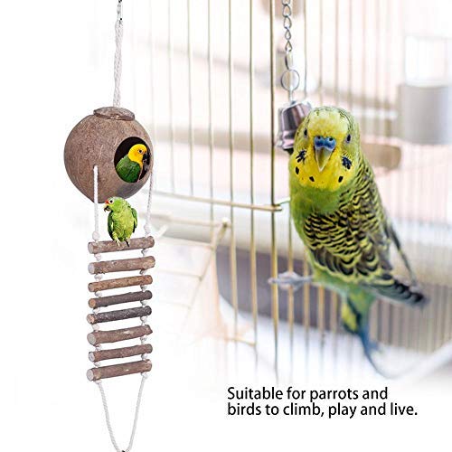 TOPINCN Coconut Shell Bird Nest Natural Breeding Nest Pet Parrot Hideaway House With Rope Ladder for Bird And Small Animal Toy 2 Sizes (#2) #2 - PawsPlanet Australia