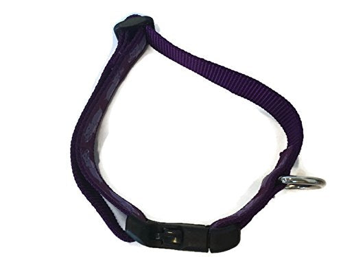 [Australia] - Animal Dog Collar, Caninedesign, Hippo, Flamingo, 1 inch Wide, Adjustable, Nylon, Medium and Large Medium 13-19" 