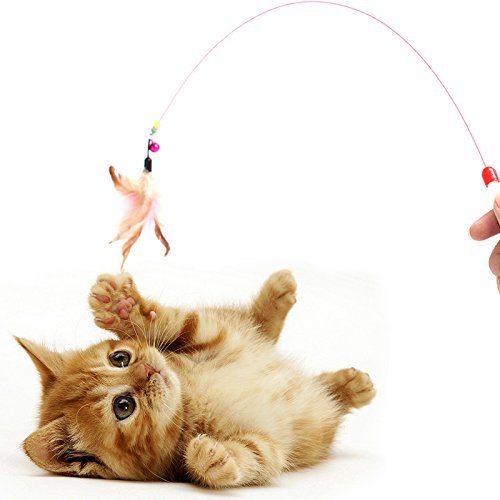 homewinner Cat Toys Feather Wand 100cm (39.4 inch) length – With Natural Feathers and Colorful small bell are Guaranteed to Drive Your Cat Wild 1 PACK. 1PACK - PawsPlanet Australia