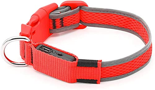 LED Dog Collar Micro USB Rechargeable Light Up Glowing Pet Collar Comfortable Soft Mesh Safety Dog Collar for Small Medium Large Dogs (M, Red) M Red with Reflective Strip - PawsPlanet Australia