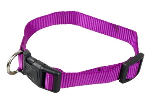 SpeedPets Durable Dog Nylon Pet Collar (Large, Purple) Large - PawsPlanet Australia